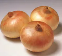 Лук Озимый СЕНШУЙ ЕЛОУ ГЛОБ (250 000 семян) Sakata